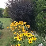 Farm stay Jurajska Bajka