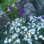 Jurajska Bajka Farm stay *
