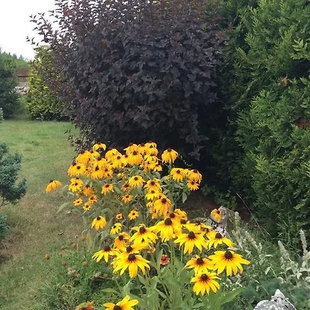 Farm stay Jurajska Bajka