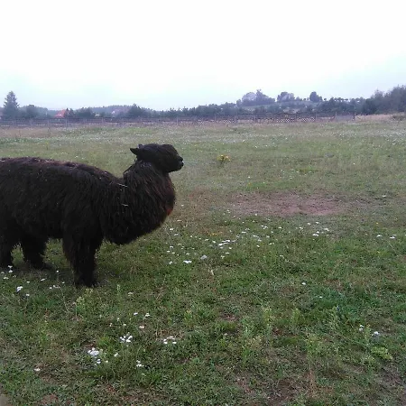 Farm stay Jurajska Bajka Przybynow