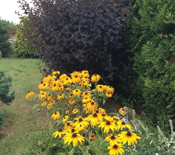 בית חווה Jurajska Bajka