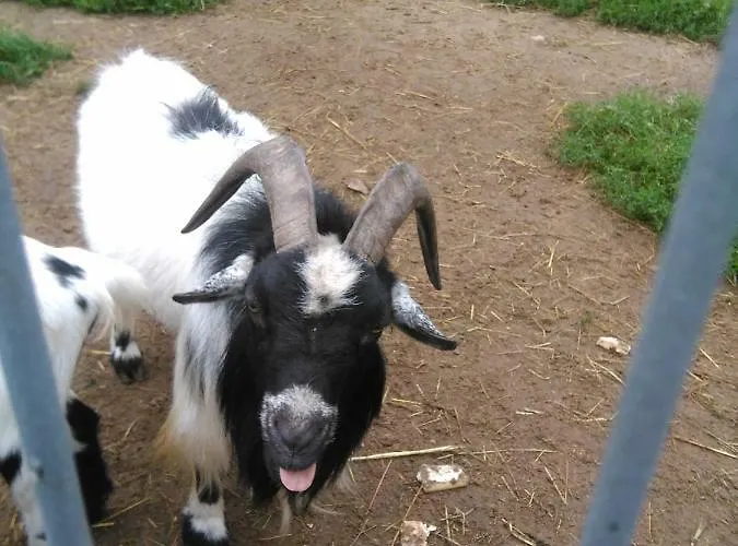 בית חווה Jurajska Bajka *