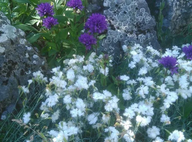 Jurajska Bajka בית חווה *