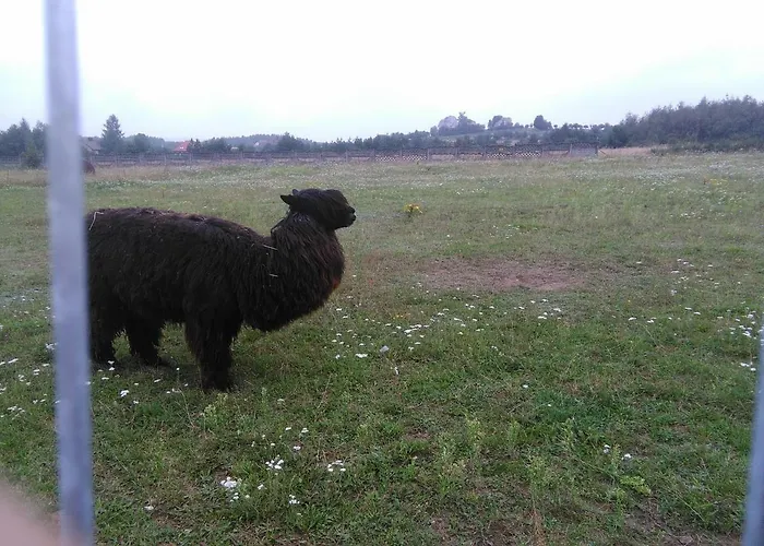 בית חווה Jurajska Bajka Przybynow